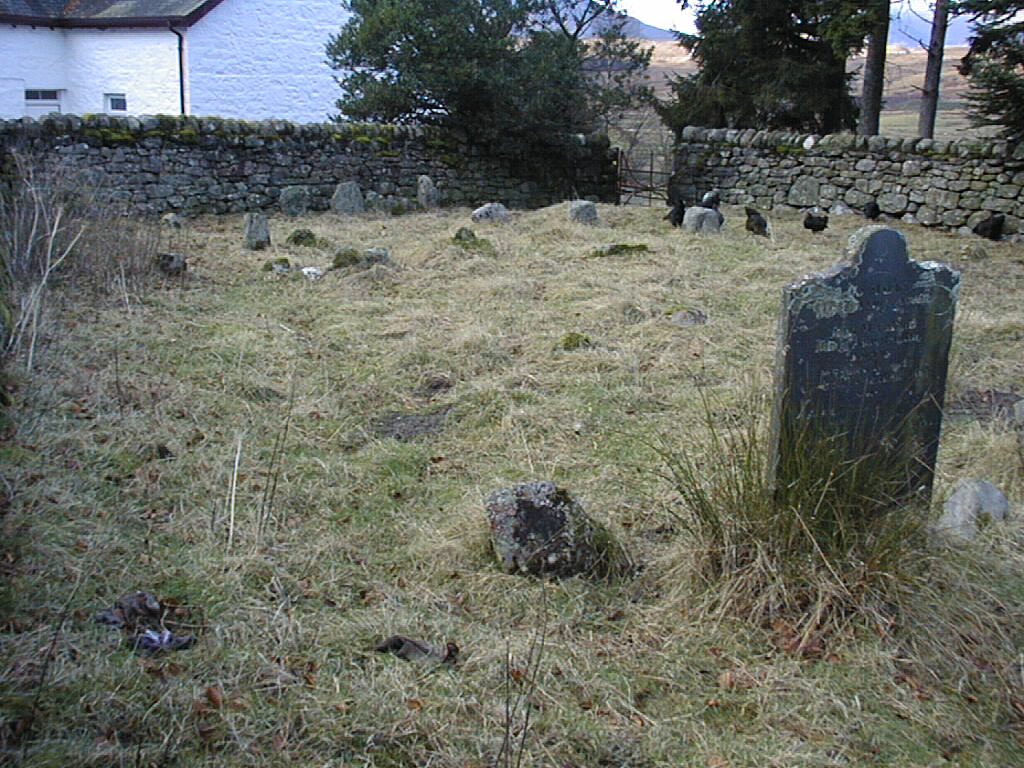 Photograph of Auchallader burial ground showing headstones and rocks