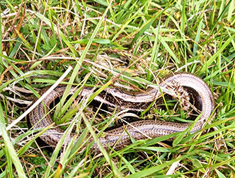 spaceless.com image 1051