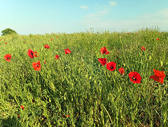 spaceless.com image 1113