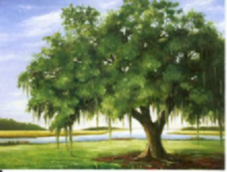 spaceless.com image 26