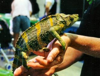 spaceless.com image 325