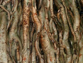 spaceless.com image 414