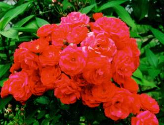 spaceless.com image 443