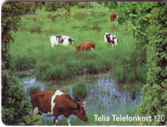 spaceless.com image 460