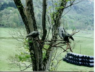 spaceless.com image 466