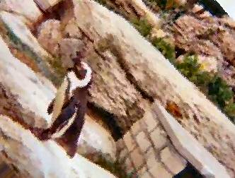 spaceless.com image 498