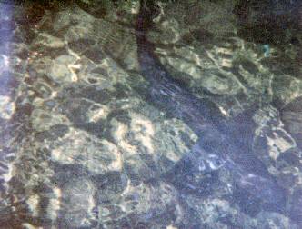 spaceless.com image 501