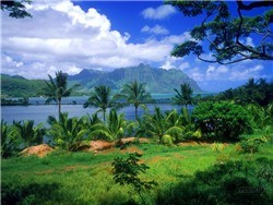 spaceless.com image 61