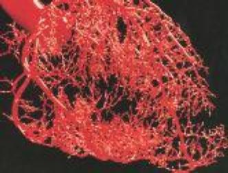 spaceless.com image 626