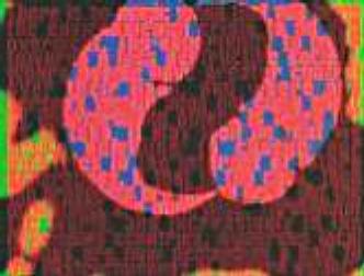 spaceless.com image 627