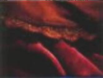 spaceless.com image 645