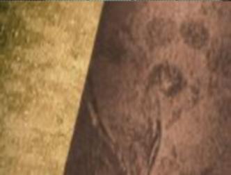 spaceless.com image 672