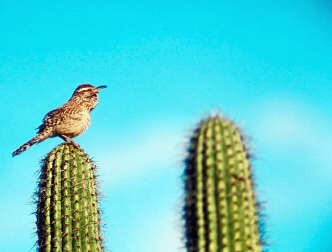 spaceless.com image 716