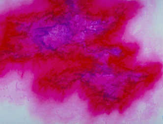 spaceless.com image 724