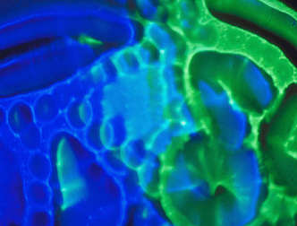 spaceless.com image 732