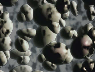 spaceless.com image 742