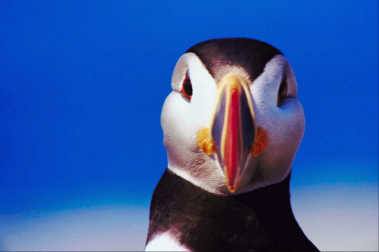 spaceless.com image 780