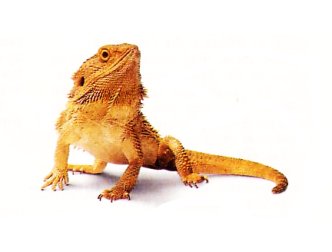 spaceless.com image 782