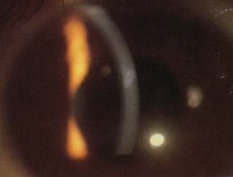 spaceless.com image 843