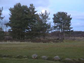 spaceless.com image 890