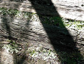 spaceless.com image 897