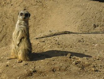 spaceless.com image 969